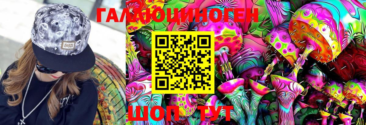 Псилоцибиновые грибы Psilocybe Лосино-Петровский